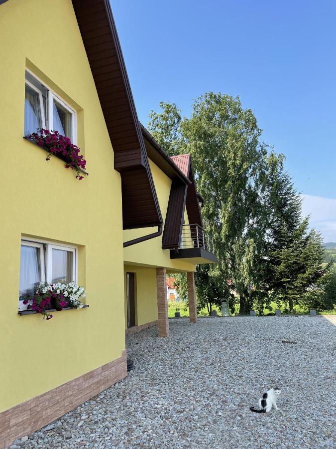 Pokoje Pod Brzózką Debno  Exterior foto
